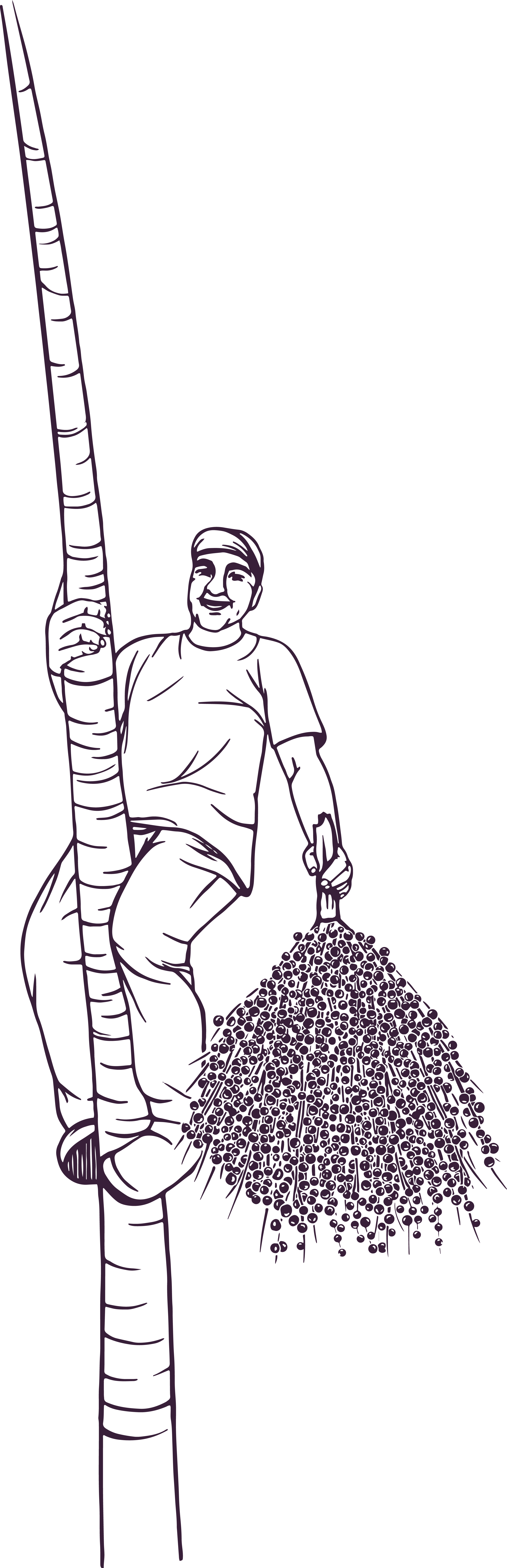 Man on tree
